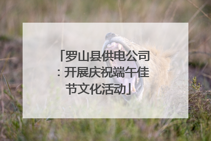 罗山县供电公司：开展庆祝端午佳节文化活动