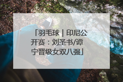 羽毛球｜印尼公开赛：刘圣书/谭宁晋级女双八强