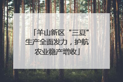 羊山新区“三夏”生产全面发力，护航农业稳产增收