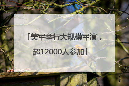 美军举行大规模军演，超12000人参加