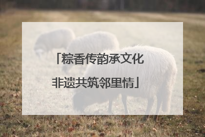 粽香传韵承文化 非遗共筑邻里情