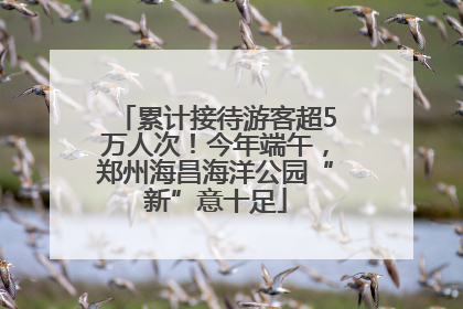 累计接待游客超5万人次！今年端午，郑州海昌海洋公园“新”意十足