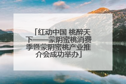 红动中国 桃醉天下——蒙阴蜜桃消费季暨蒙阴蜜桃产业推介会成功举办