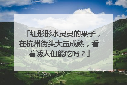 红彤彤水灵灵的果子，在杭州街头大量成熟，看着诱人但能吃吗？