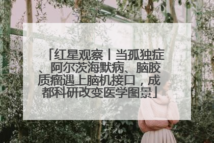 红星观察丨当孤独症、阿尔茨海默病、脑胶质瘤遇上脑机接口，成都科研改变医学图景