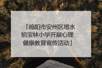 绵阳市安州区塔水镇宝林小学开展心理健康教育宣传活动