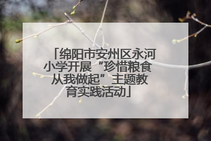 绵阳市安州区永河小学开展“珍惜粮食 从我做起”主题教育实践活动