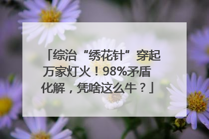 综治“绣花针”穿起万家灯火！98%矛盾化解，凭啥这么牛？