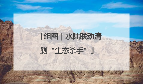 组图｜水陆联动清剿“生态杀手”
