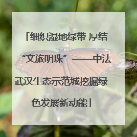 细织湿地绿带 厚结“文旅明珠”——中法武汉生态示范城挖掘绿色发展新动能