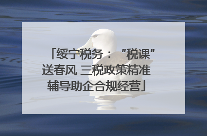 绥宁税务：“税课”送春风 三税政策精准辅导助企合规经营