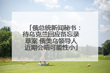 俄总统新闻秘书：待乌克兰回应备忘录草案 俄美乌领导人近期会晤可能性小
