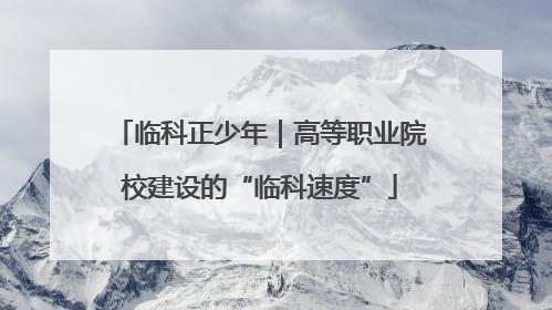 临科正少年｜高等职业院校建设的“临科速度”