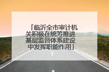 临沂全市审计机关积极在统筹推进基层监督体系建设中发挥职能作用