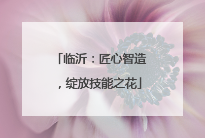 临沂：匠心智造，绽放技能之花