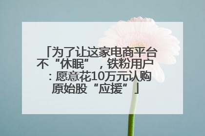 为了让这家电商平台不“休眠”，铁粉用户：愿意花10万元认购原始股“应援”
