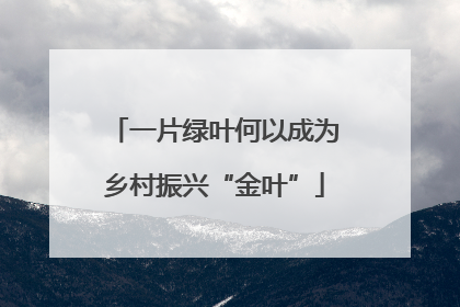 一片绿叶何以成为乡村振兴“金叶”