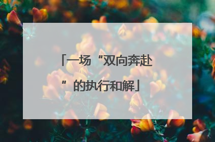 一场“双向奔赴”的执行和解