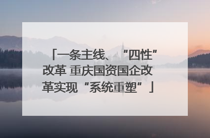 一条主线、“四性”改革 重庆国资国企改革实现“系统重塑”
