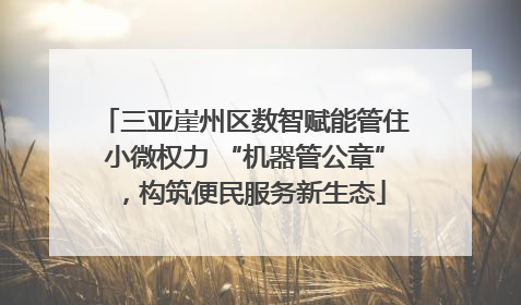 三亚崖州区数智赋能管住小微权力 “机器管公章”，构筑便民服务新生态