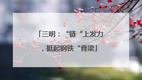 三明：“链“上发力，挺起钢铁“脊梁