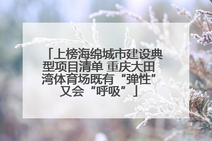 上榜海绵城市建设典型项目清单 重庆大田湾体育场既有“弹性”又会“呼吸”