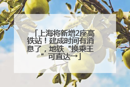 上海将新增2座高铁站！建成时间有消息了，地铁“换乘王”可直达→