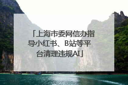 上海市委网信办指导小红书、B站等平台清理违规AI
