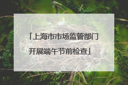 上海市市场监管部门开展端午节前检查