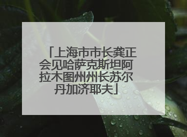上海市市长龚正会见哈萨克斯坦阿拉木图州州长苏尔丹加济耶夫