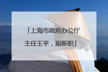 上海市政府办公厅主任王平，履新职