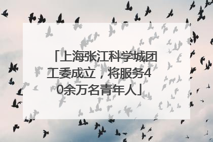 上海张江科学城团工委成立，将服务40余万名青年人