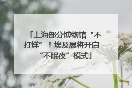 上海部分博物馆“不打烊”！埃及展将开启“不眠夜”模式