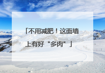 不用减肥！这面墙上有好“多肉”