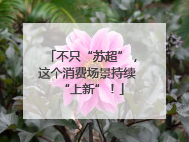 不只“苏超”，这个消费场景持续“上新”！