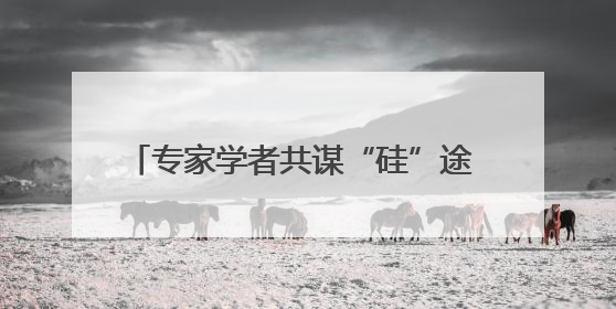 专家学者共谋“硅”途 2025年中国（乐山）硅产业链发展大会开幕