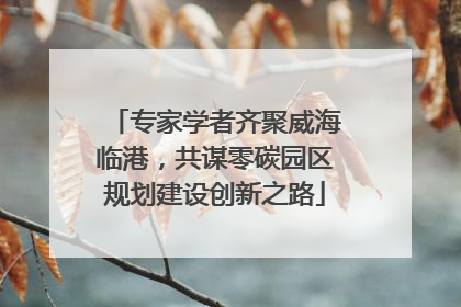 专家学者齐聚威海临港，共谋零碳园区规划建设创新之路