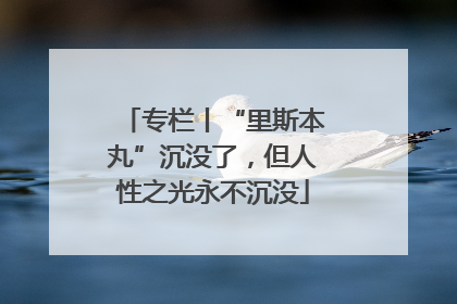 专栏丨“里斯本丸”沉没了，但人性之光永不沉没