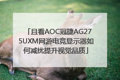 且看AOC冠捷AG275UXM网游电竞显示器如何减扰提升视觉品质