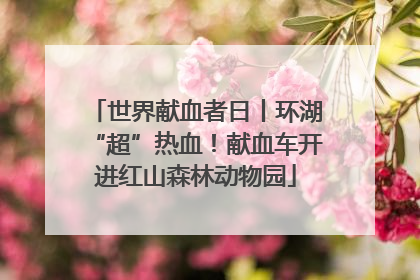 世界献血者日丨环湖“超”热血！献血车开进红山森林动物园