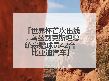 世界杯首次出线，乌兹别克斯坦总统豪赠球员42台比亚迪汽车
