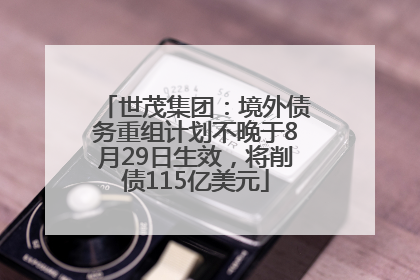 世茂集团：境外债务重组计划不晚于8月29日生效，将削债115亿美元