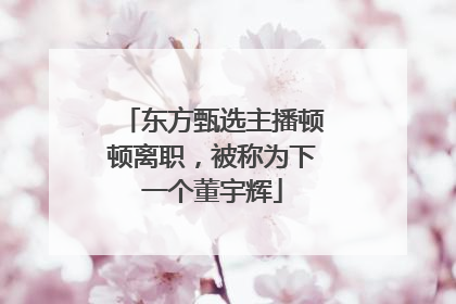东方甄选主播顿顿离职，被称为下一个董宇辉
