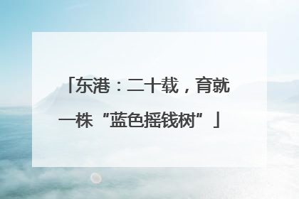 东港：二十载，育就一株“蓝色摇钱树”