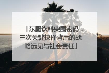 东鹏饮料突围密码：三次关键抉择背后的战略远见与社会责任