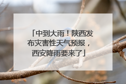 中到大雨！陕西发布灾害性天气预报，西安降雨要来了