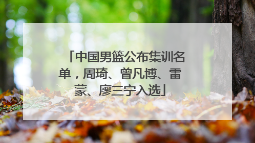 中国男篮公布集训名单，周琦、曾凡博、雷蒙、廖三宁入选