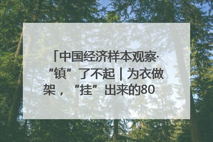 中国经济样本观察·“镇”了不起｜为衣做架，“挂”出来的80亿元“衣架产业”