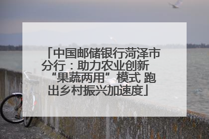 中国邮储银行菏泽市分行：助力农业创新 “果蔬两用”模式 跑出乡村振兴加速度