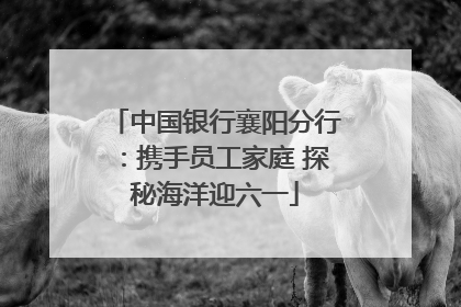 中国银行襄阳分行：携手员工家庭 探秘海洋迎六一